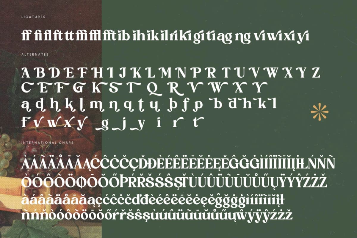 Rustic Delight - Bold Serif Display Font font preview 19