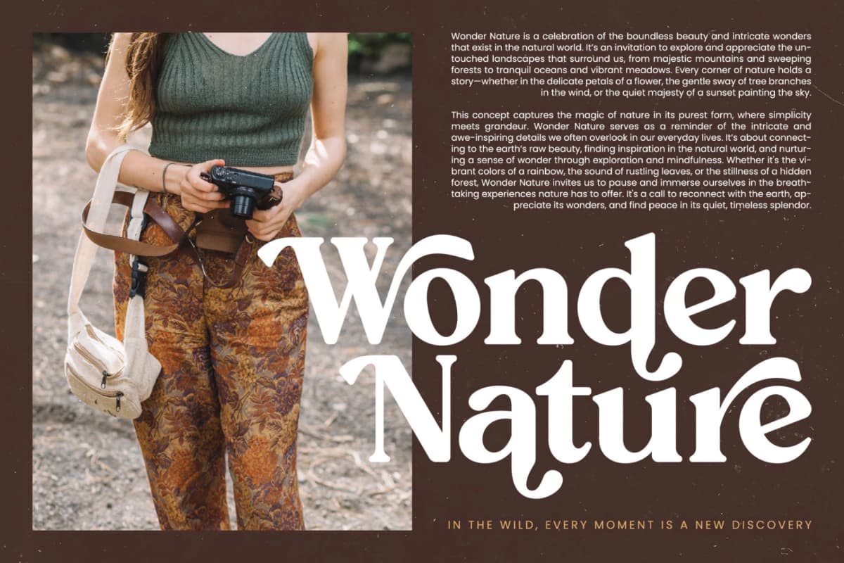 Rustic Delight - Bold Serif Display Font font preview 16