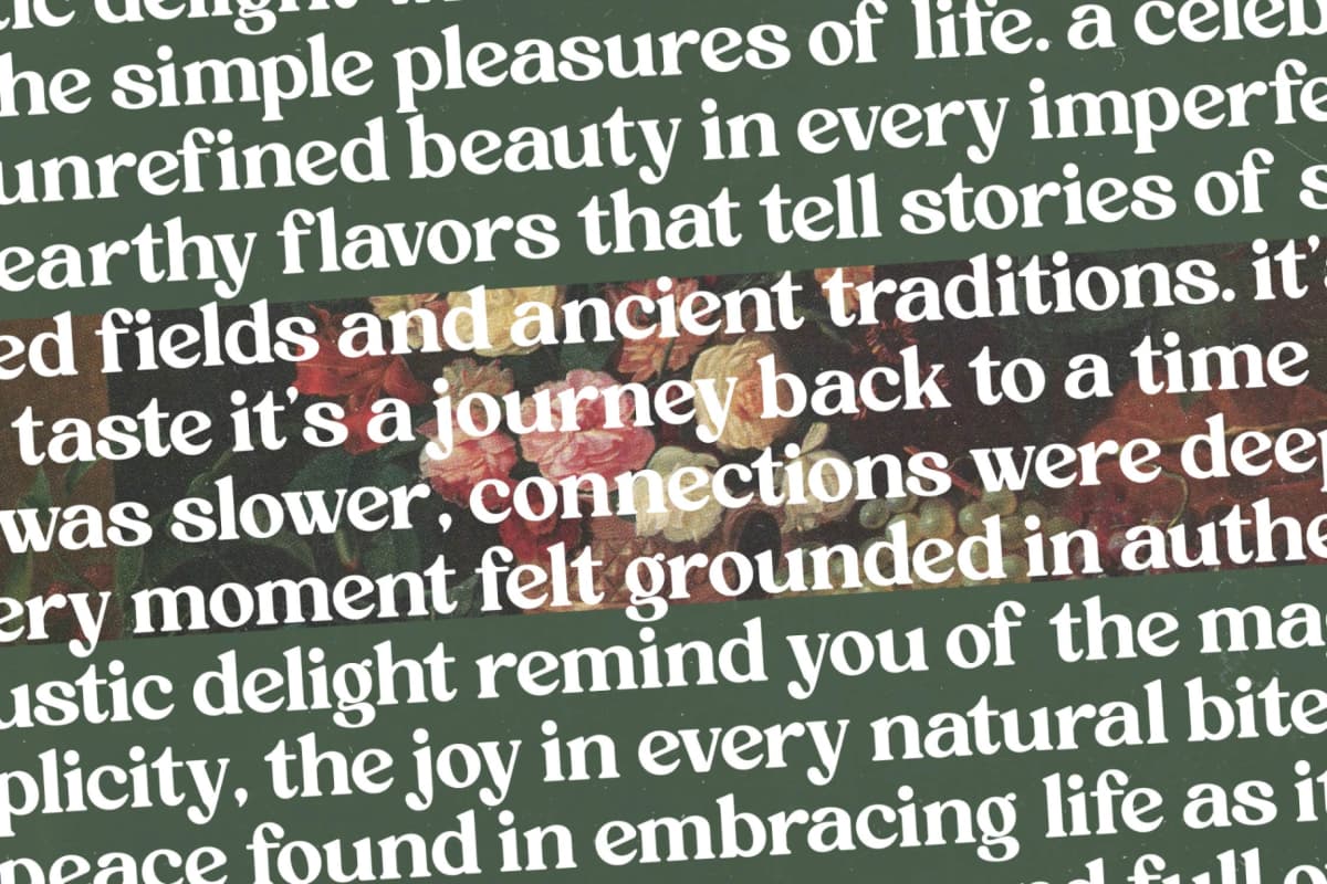 Rustic Delight - Bold Serif Display Font font preview 13