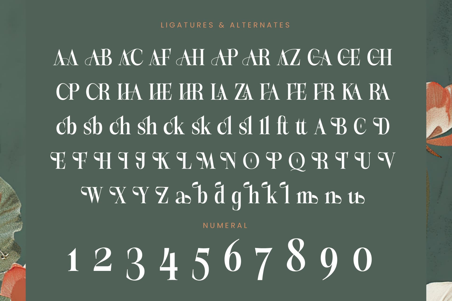Preview 18 for Michela Azorha - Serif Display Font