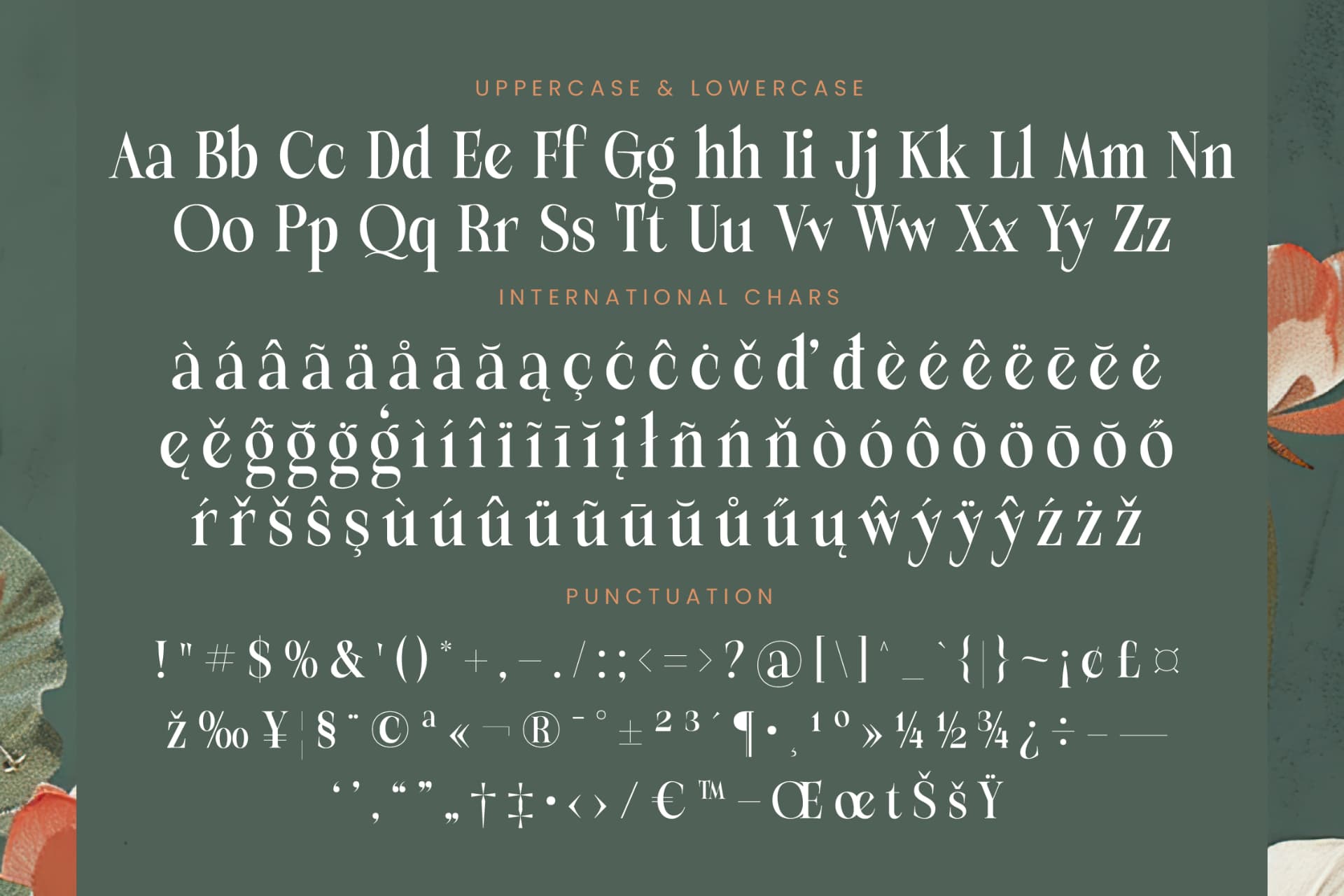 Preview 19 for Michela Azorha - Serif Display Font