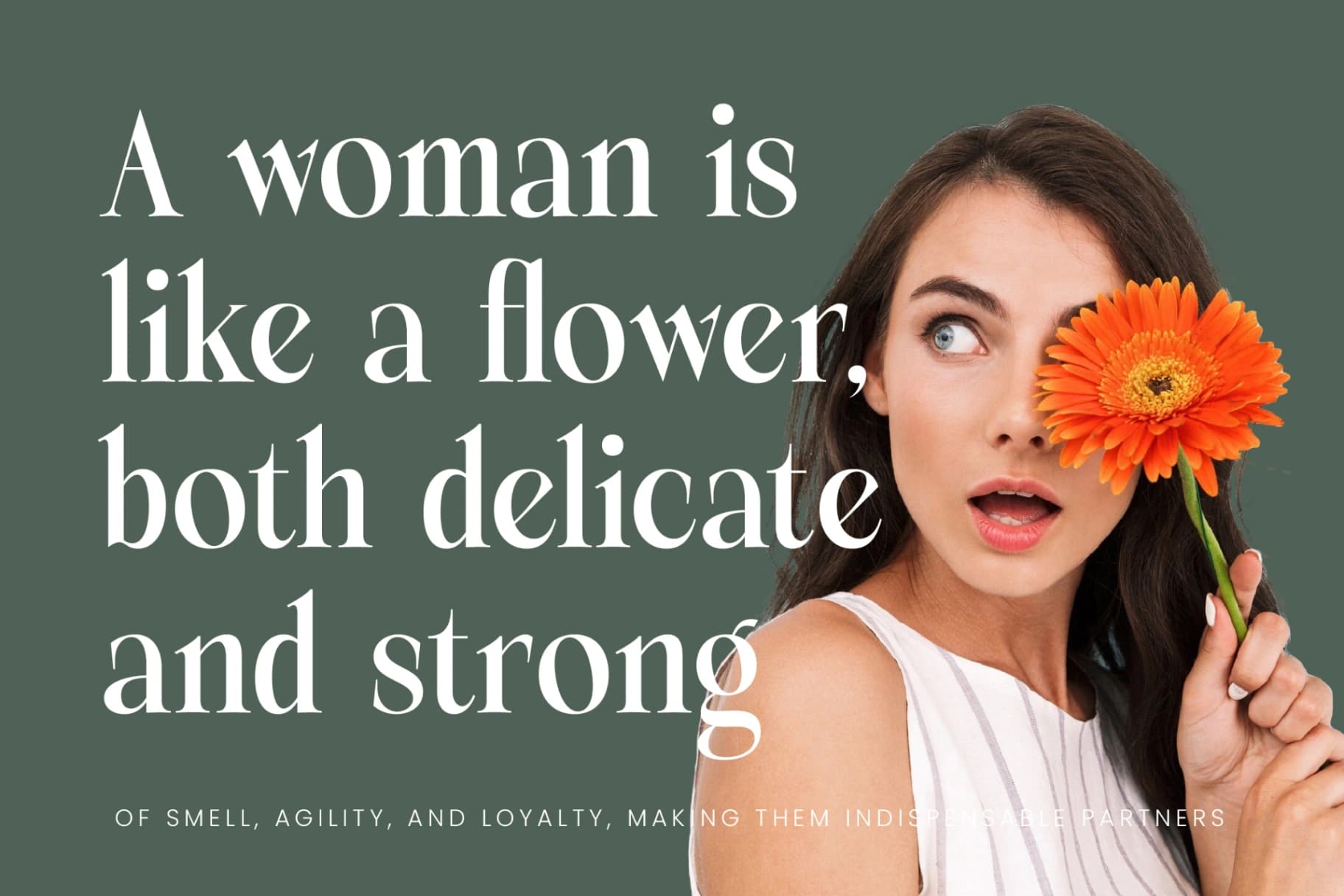 Preview 9 for Michela Azorha - Serif Display Font