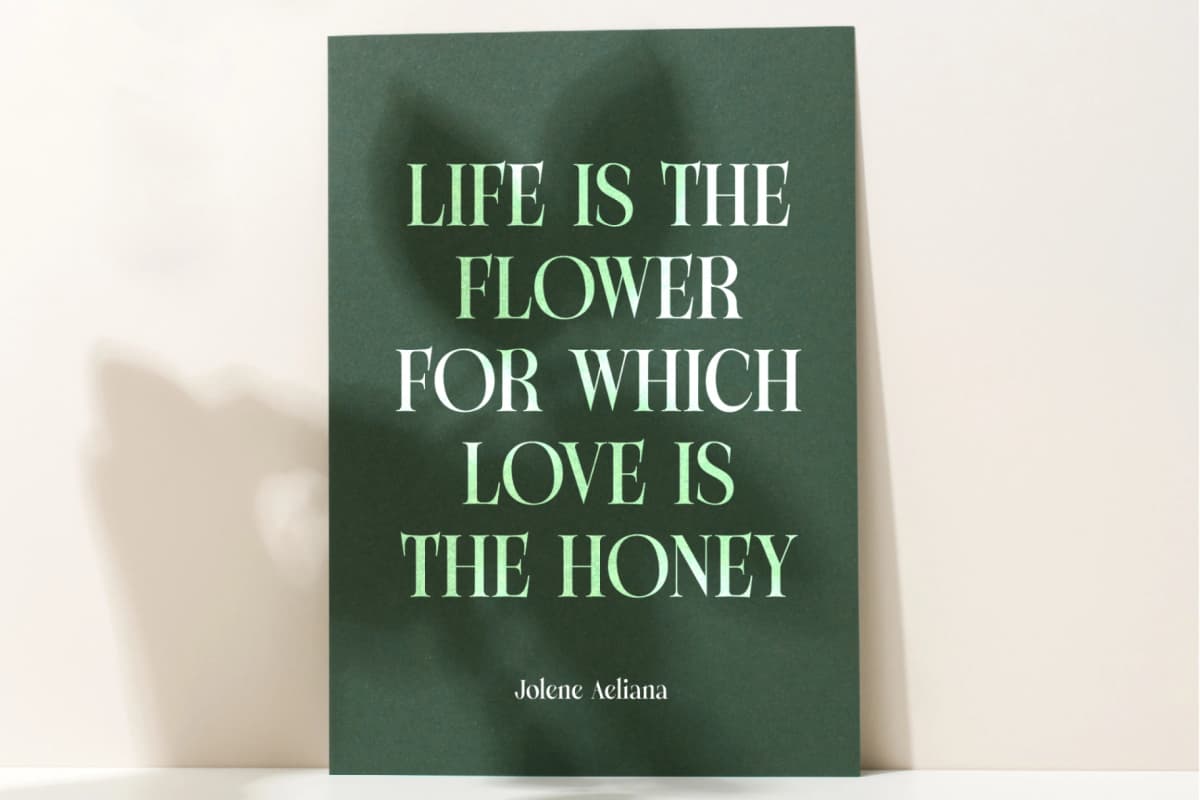 Michela Azorha - Serif Display Font font preview 2