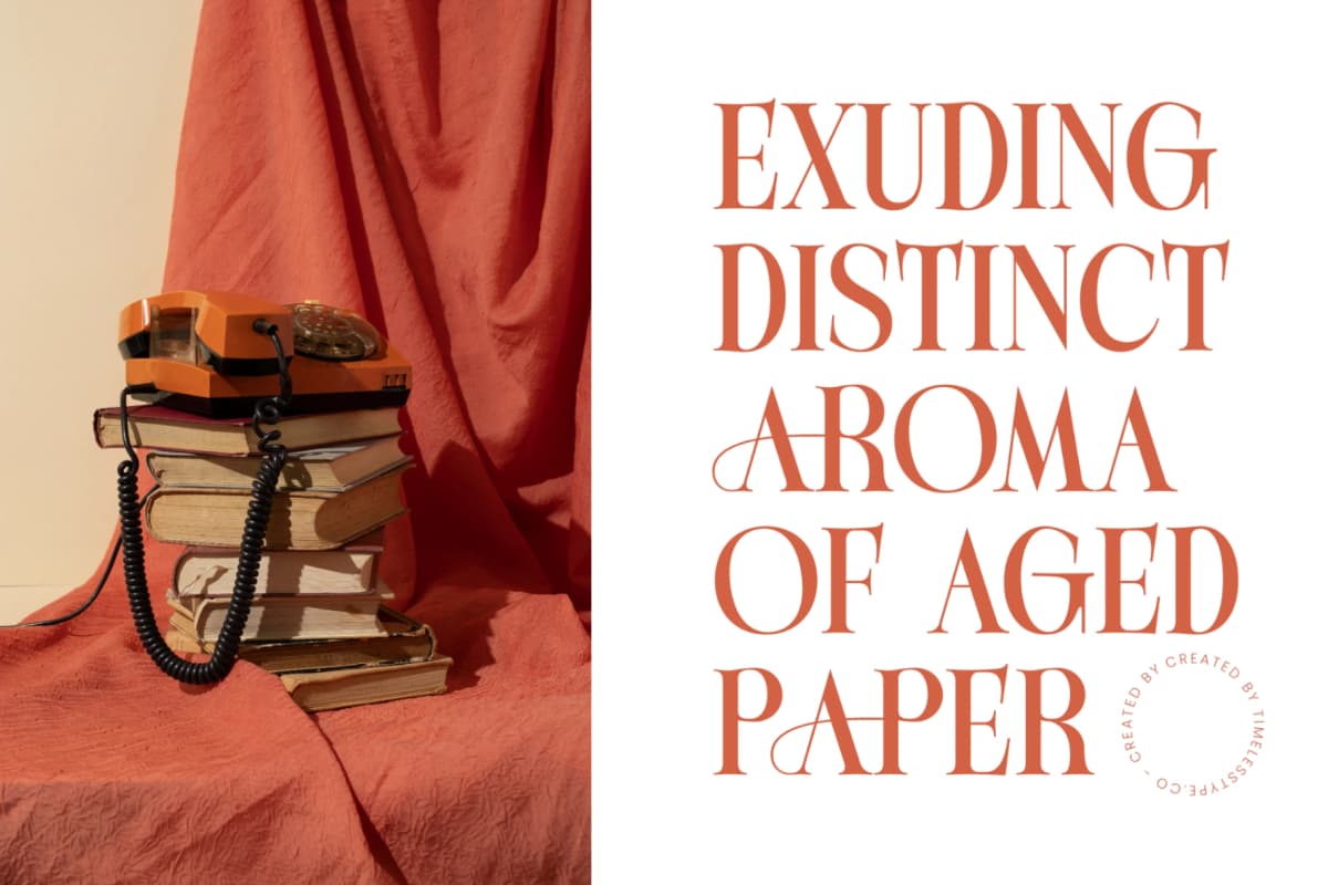 Michela Azorha - Serif Display Font font preview 4