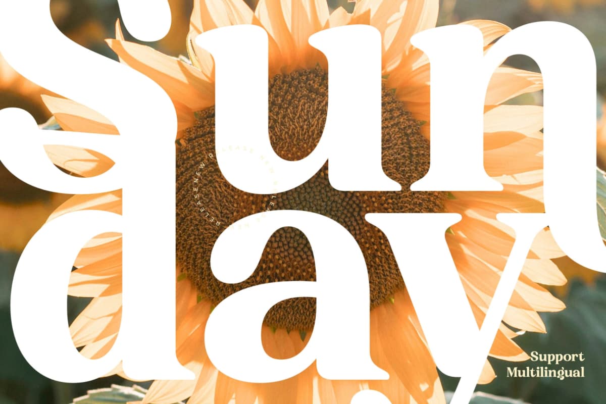 Sunday Ridges - Modern Retro Serif Font font preview 11