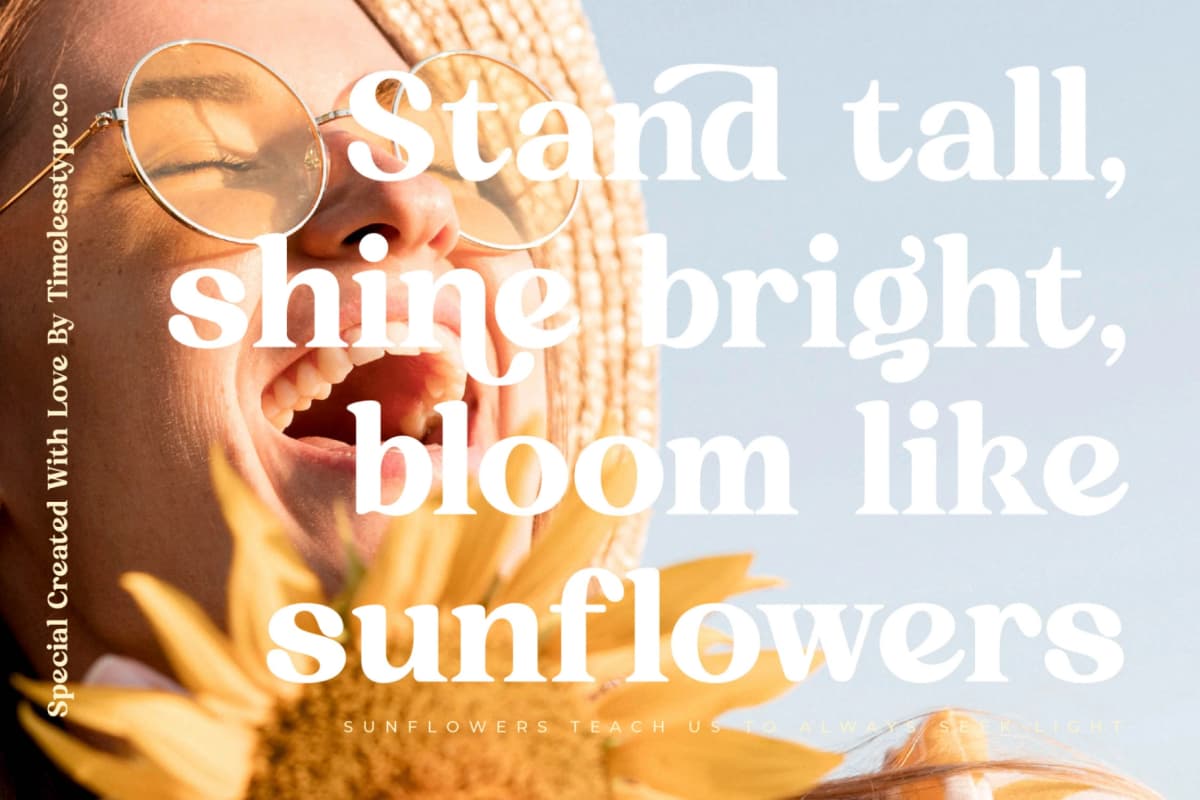 Sunday Ridges - Modern Retro Serif Font font preview 5