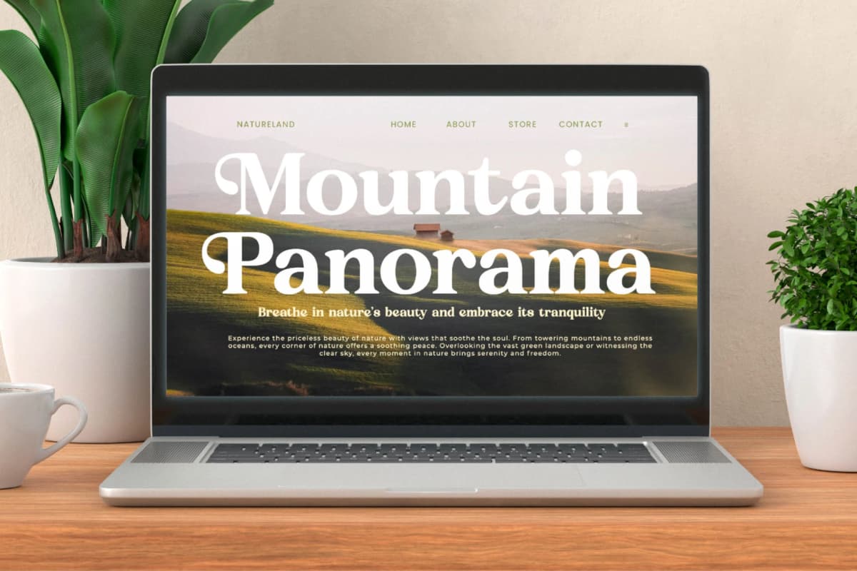 Sunday Ridges - Modern Retro Serif Font font preview 4