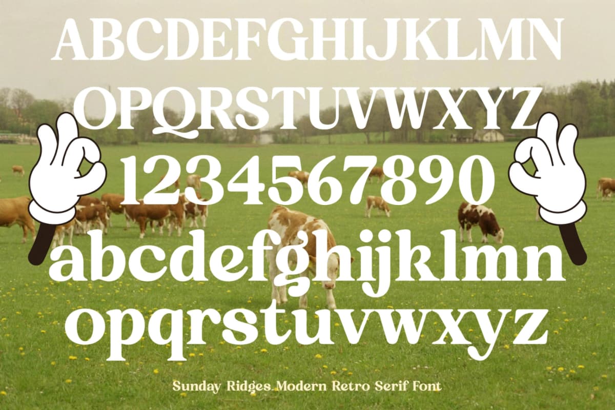 Sunday Ridges - Modern Retro Serif Font font preview 18