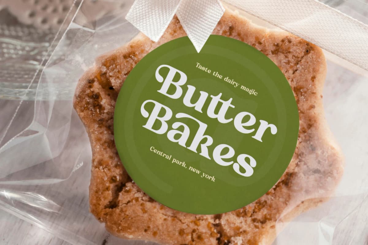 Sunday Ridges - Modern Retro Serif Font font preview 13