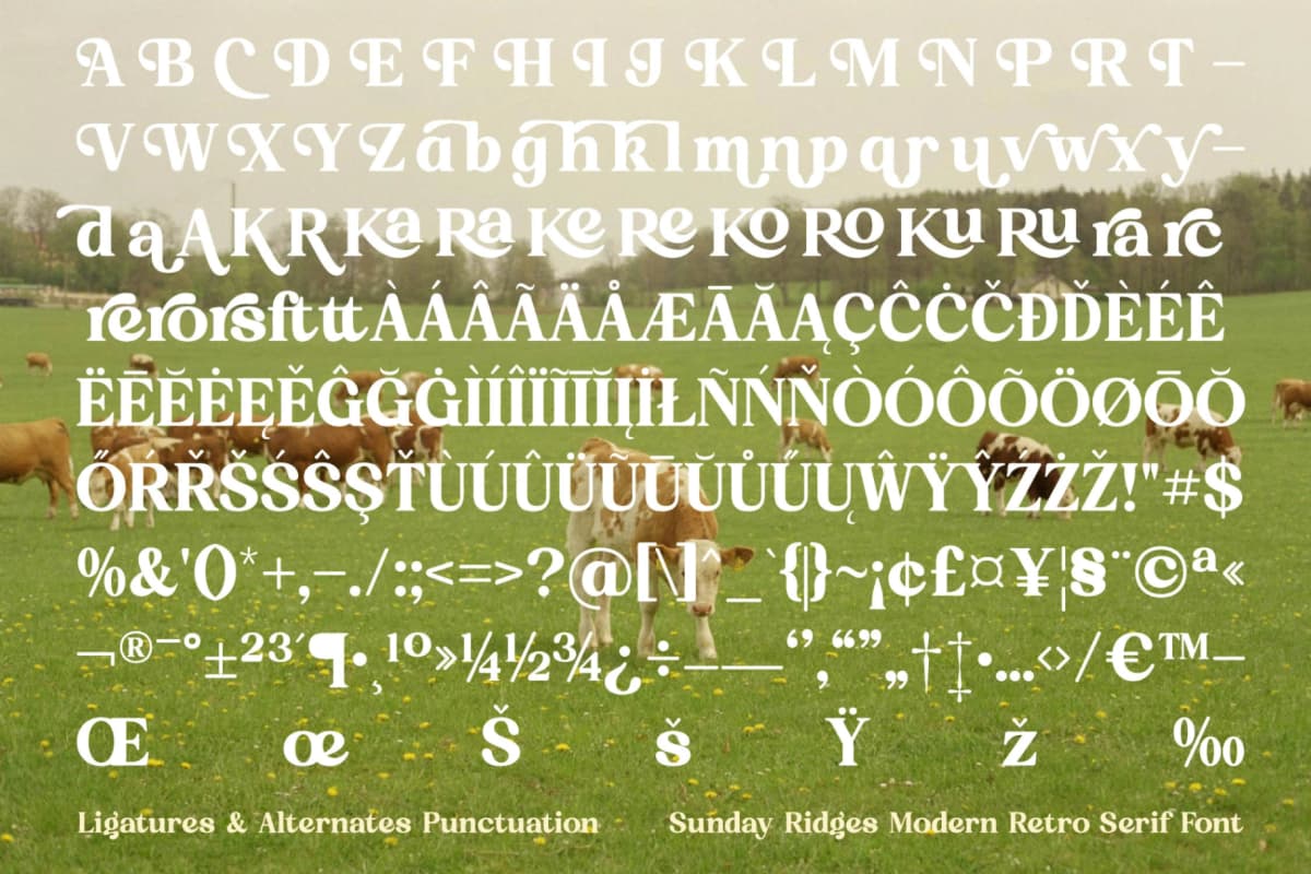 Sunday Ridges - Modern Retro Serif Font font preview 19