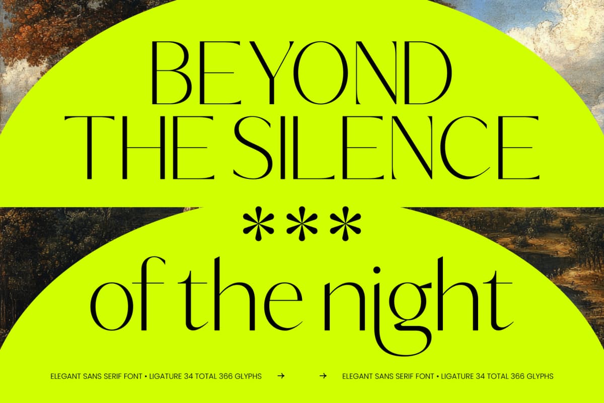 Silence Night – Elegant Sans Serif Font font preview